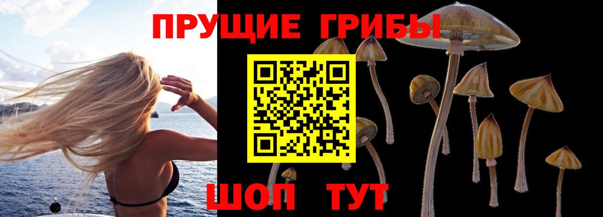 Псилоцибиновые грибы Psilocybine cubensis  Вход с VPN  Белая Калитва 